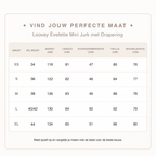 Loovay Èvelette Mini Jurk met Drapering