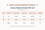 Loovay Célunora Kanten Mini Jurk